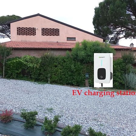 Agriturismo Buon Riposo - Country Resort In The Heart Of Tuscany San Giovanni a Corazzano Ngoại thất bức ảnh