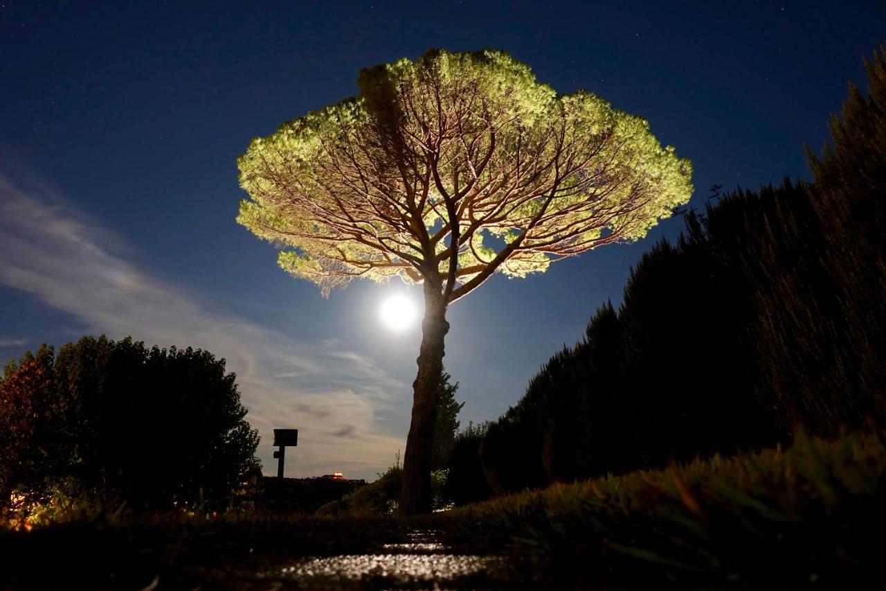 Agriturismo Buon Riposo - Country Resort In The Heart Of Tuscany San Giovanni a Corazzano Ngoại thất bức ảnh