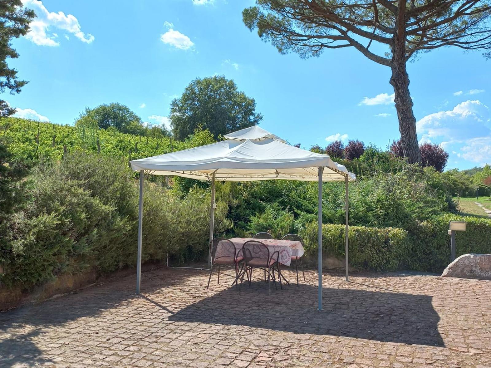 Agriturismo Buon Riposo - Country Resort In The Heart Of Tuscany San Giovanni a Corazzano Ngoại thất bức ảnh