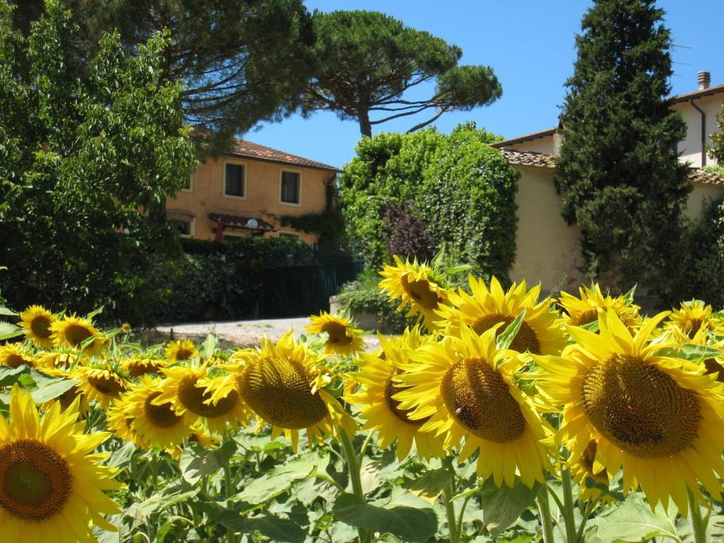 Agriturismo Buon Riposo - Country Resort In The Heart Of Tuscany San Giovanni a Corazzano Ngoại thất bức ảnh