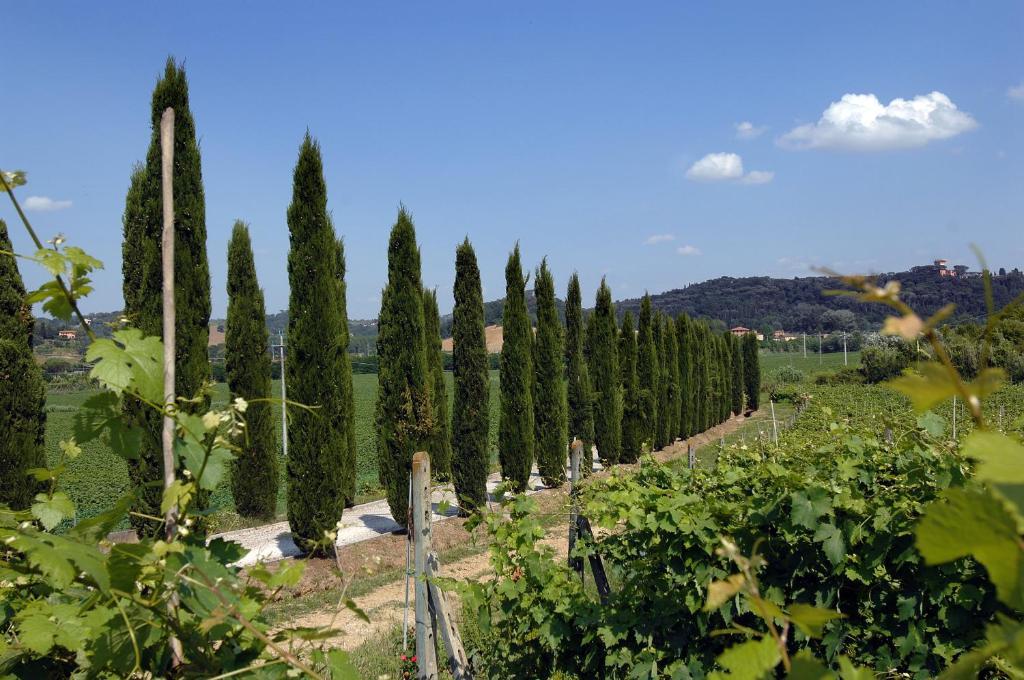 Agriturismo Buon Riposo - Country Resort In The Heart Of Tuscany San Giovanni a Corazzano Ngoại thất bức ảnh